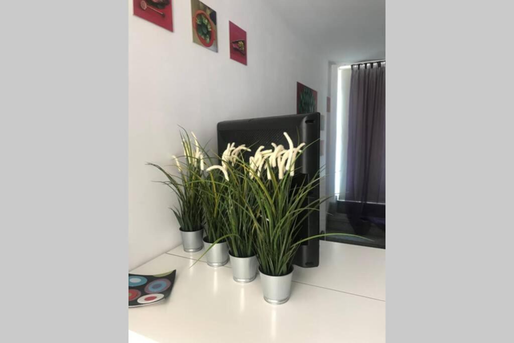 Ferienwohnung Atico Con Vistas Y Gran Terraza Guía de Isora Exterior foto